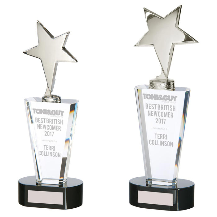 Chicago Crystal & Chrome Award