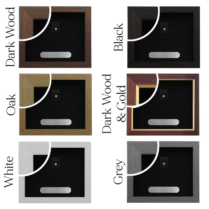 Royal Signals Colours Medal Display Case for 1 Mounted Medal