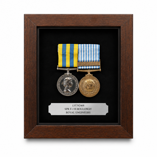 two medal display case
military medal display case