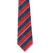 1st The Queens Dragoon Guards Silk Tie