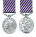 distinguished flying medal GVI