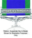 GSM Malay Peninsula Clasp