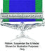 GSM Mine Clearance Gulf of Suez Clasp