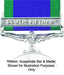 GSM South Vietnam Clasp
