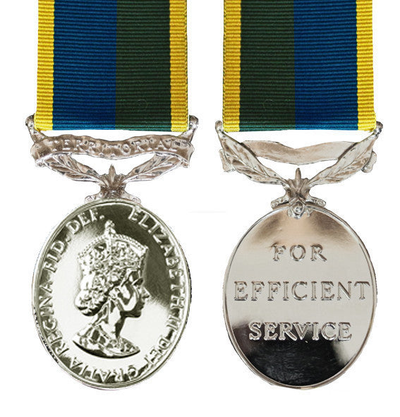 TA Efficiency Medal EIIR 1982