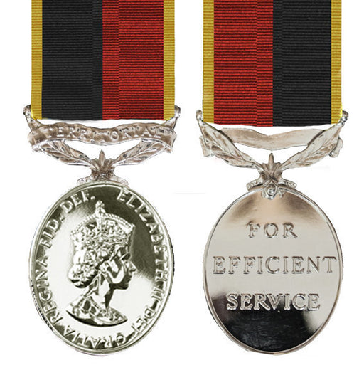 TA Efficiency Medal EIIR 1982 HAC
