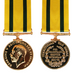 The Territorial Force War Medal and Ribbon