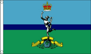 Royal Signals British military flag with blue and green design