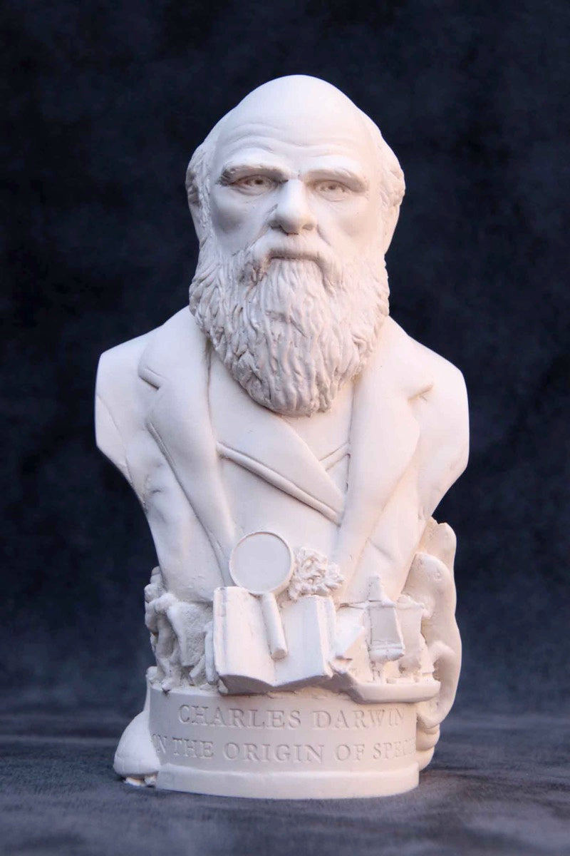 Bust of Charles Darwin